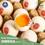 Telur Ayam Kampung Omega/Kampung Merah
