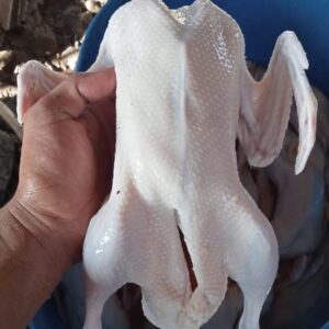 Karkas Bebek Peking bobot 1,3 kg/ekor