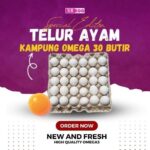 TELUR AYAM KAMPUNG OMEGA (30 BUTIR)