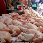 Daging ayam