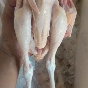Karkas Ayam Pejantan bobot 0,6-0,7 kg/ekor